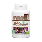 GPH Diffusion Harpagophytum Bio 400mg 120 Comprimes