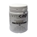 Viticap Actifs Et Vitamines 60 Gélules