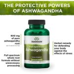 Swanson, Ashwagandha, 450 mg, 100 capsules