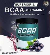 Bcaa + Glutamine Powder 600gr Superior 14 Bcaa + Glutamine Powder 600gr Superior 14