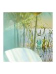 HERMÈS UN JARDIN SUR LE NIL EAU DE TOILETTE 100