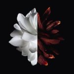 GIVENCHY L'Interdit - Eau de Parfum Rouge 50ml