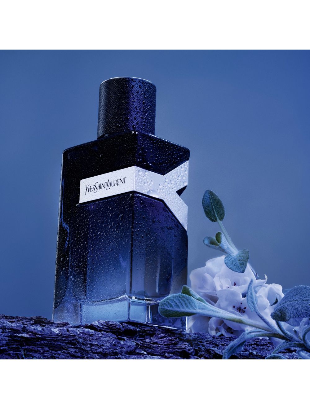 YVES SAINT LAURENT Y EAU DE PARFUM 100 ml YVES SAINT LAURENT Y EAU DE PARFUM 100 ml