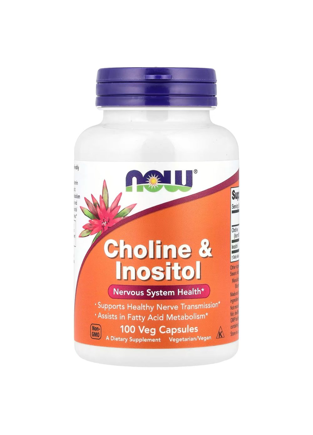 NOW FOODS Choline&Inositol santé du système nerveux 250mg 100 capsules